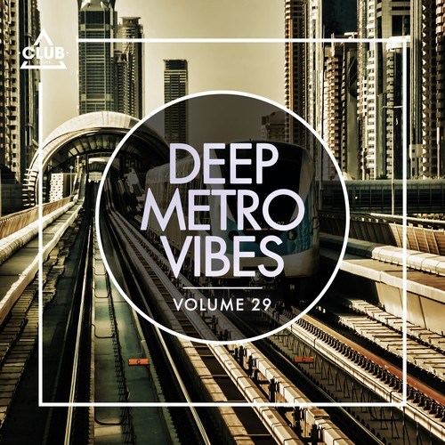 Various Artists-Deep Metro Vibes, Vol. 29