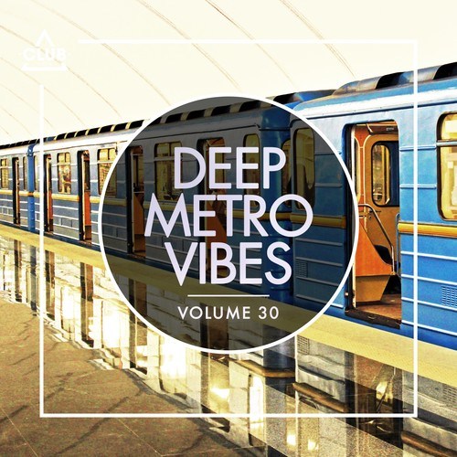 Various Artists-Deep Metro Vibes, Vol. 30