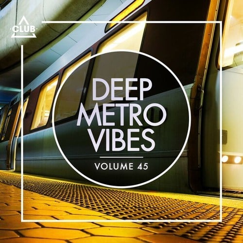 Various Artists-Deep Metro Vibes, Vol. 45