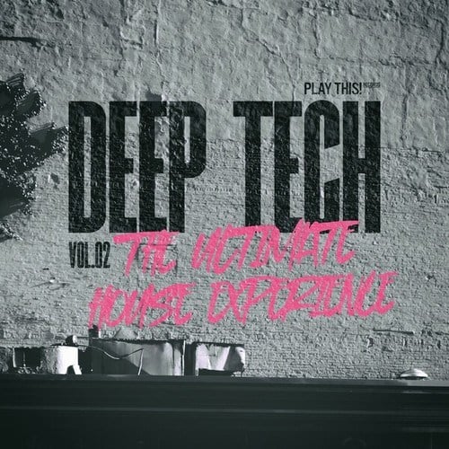 Deep Tech: The Ultimate House Experience, Vol.02