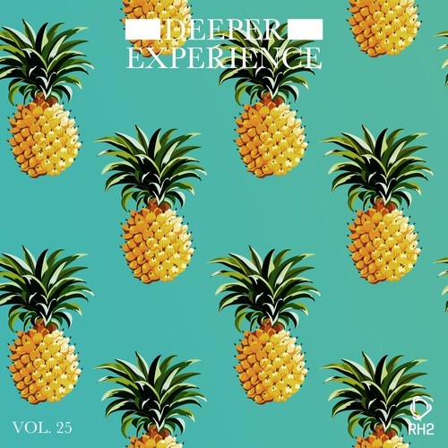 Various Artists-Deeper Experience, Vol. 25