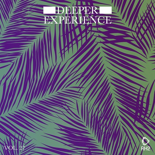 Various Artists-Deeper Experience, Vol. 27