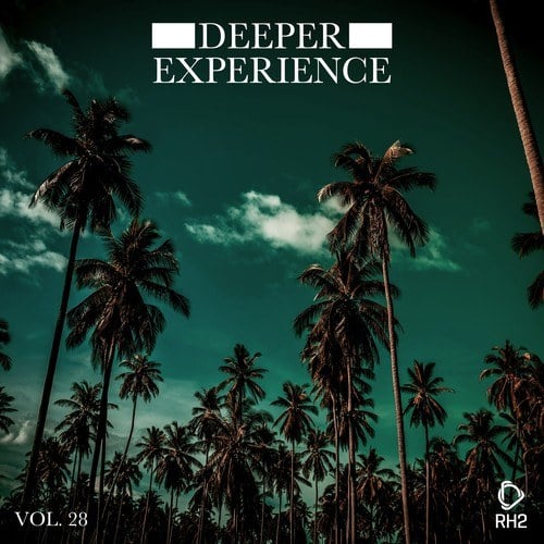 Various Artists-Deeper Experience, Vol. 28