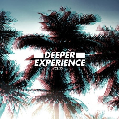 Various Artists-Deeper Experience, Vol. 30