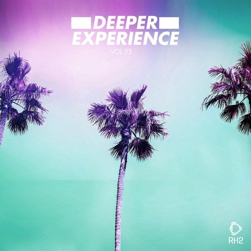 Various Artists-Deeper Experience, Vol. 33