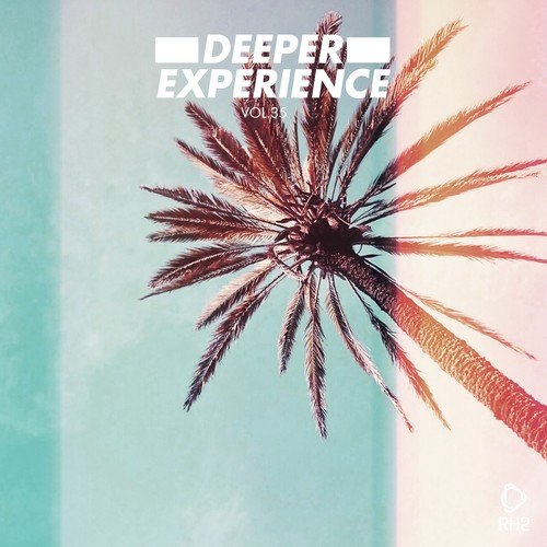 Various Artists-Deeper Experience, Vol. 35
