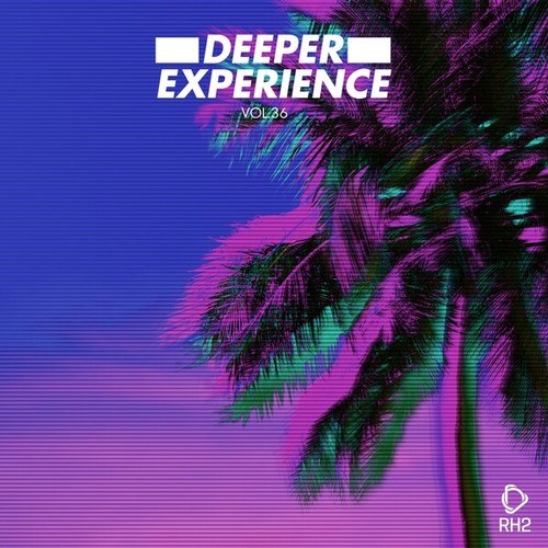 Various Artists-Deeper Experience, Vol. 36