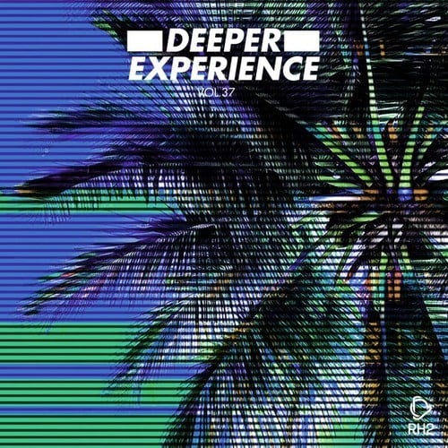 Various Artists-Deeper Experience, Vol. 37