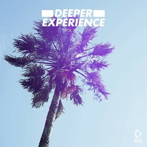 Various Artists-Deeper Experience, Vol. 38