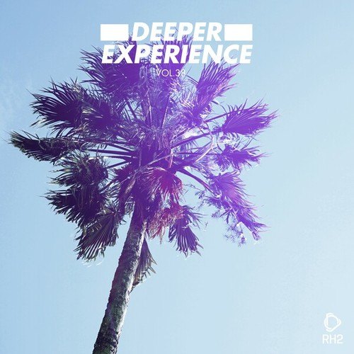 Various Artists-Deeper Experience, Vol. 38