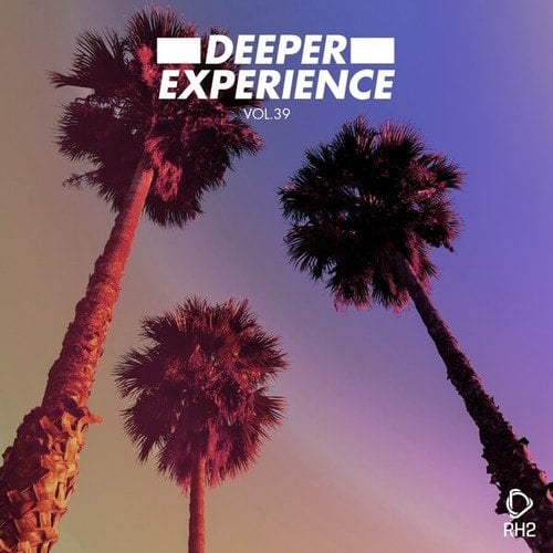 Various Artists-Deeper Experience, Vol. 39