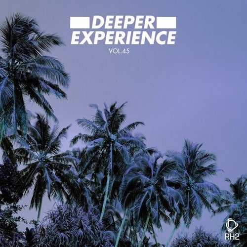 Various Artists-Deeper Experience, Vol. 45