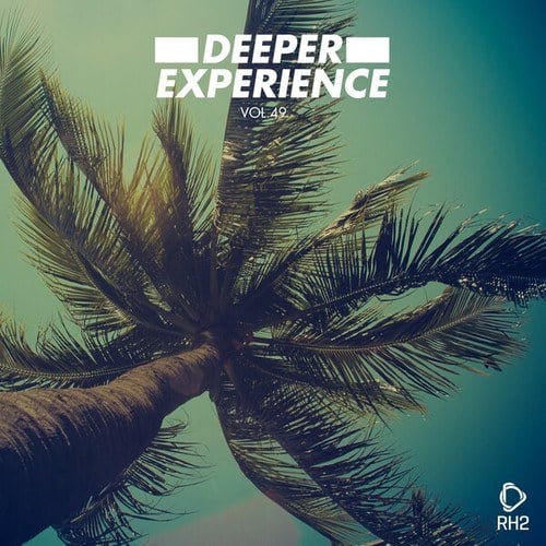 Various Artists-Deeper Experience, Vol. 49
