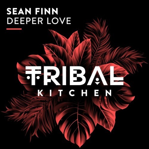 Sean Finn-Deeper Love