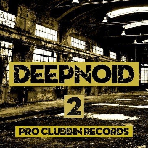Various Artists-Deepnoid, Vol. 2