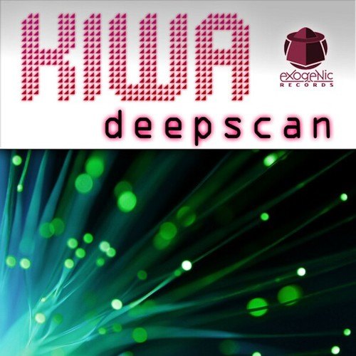 Kiwa-Deepscan