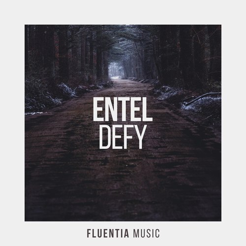 Entel-Defy