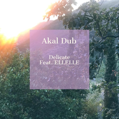 Akal Dub, ELLELLE-Delicate