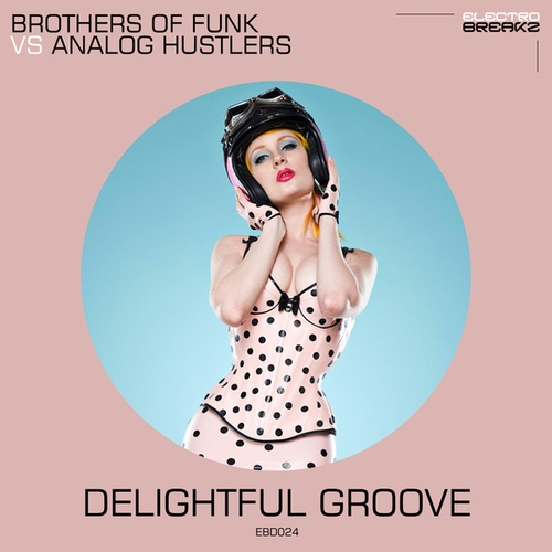 Brothers Of Funk, Analog Hustlers-Delightful Groove