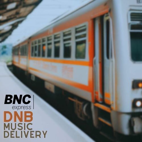 Various Artists-Delivery 12