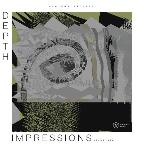 Various Artists-Depth Impressions Issue #24