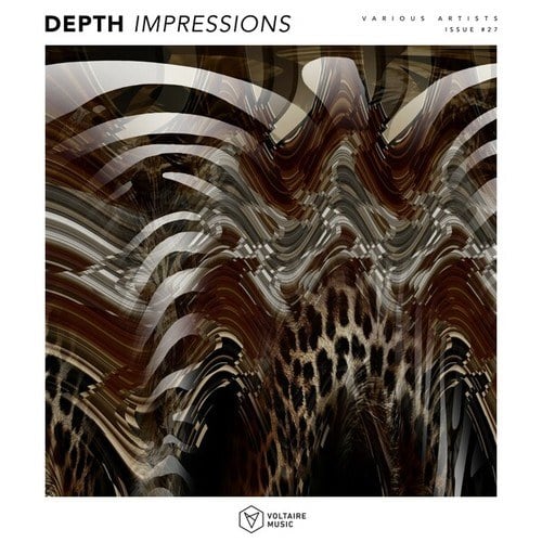 Various Artists-Depth Impressions Issue #27