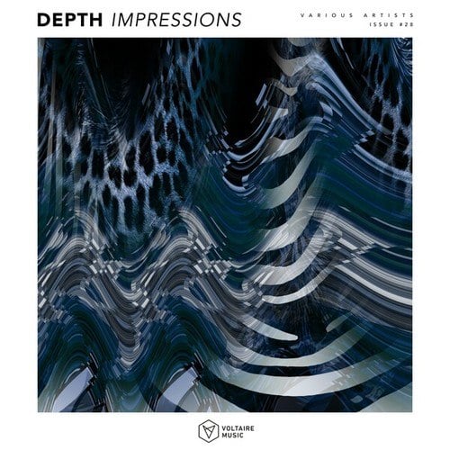 Various Artists-Depth Impressions Issue #28