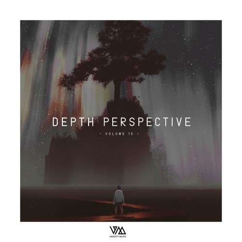 Various Artists-Depth Perspective, Vol. 14