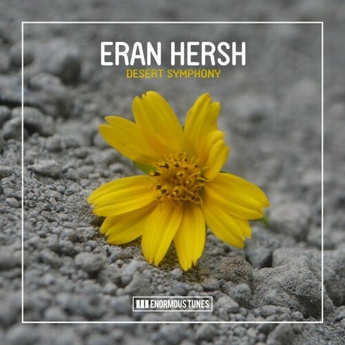 Eran Hersh-Desert Symphony