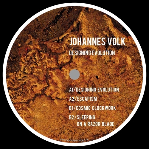 Johannes Volk-Designing Evolution