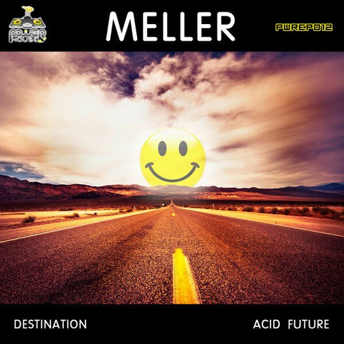 Meller-Destination Acid Future