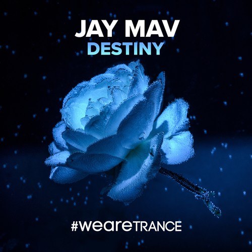 Jay Mav-Destiny