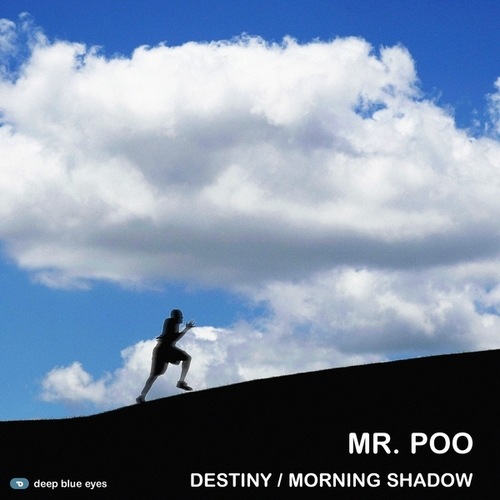Mr. Poo-Destiny