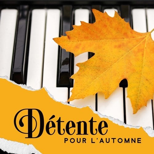 Détente pour l'automne - Nuit de sommeil avec sons doux et tranquilles de piano