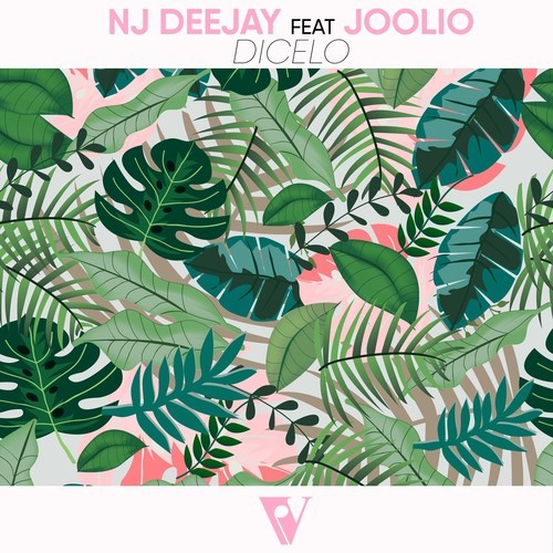 NJ Deejay, Joolio-Dicelo