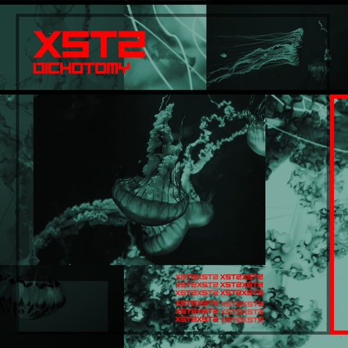 XST2-Dichotomy