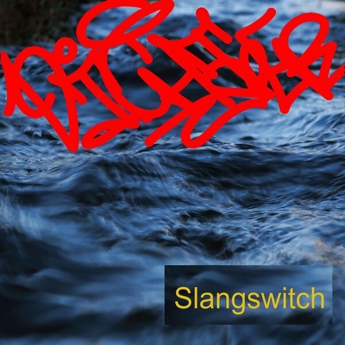 Slangswitch-Dichter