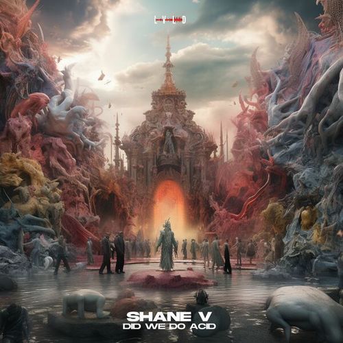 Shane V-Did we do Acid