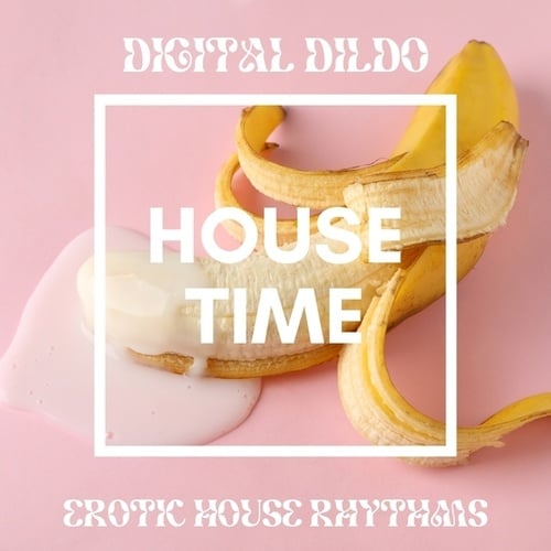 Various Artists-Digital Dildo (Erotic House Rhythms)