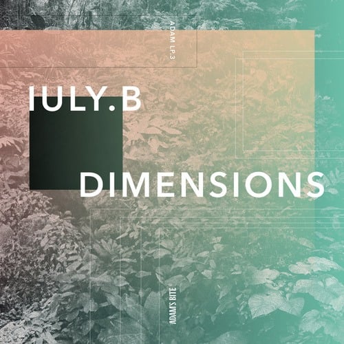 Iuly.B-Dimensions