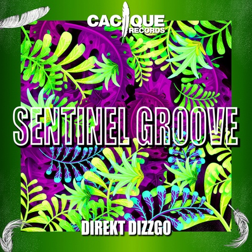 Sentinel Groove-Direkt Dizzgo