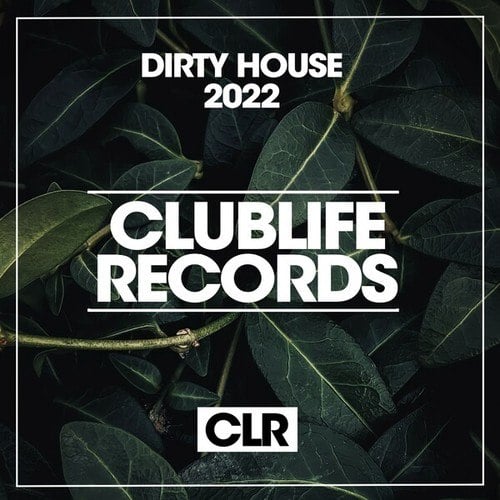 Various Artists-Dirty House 2022