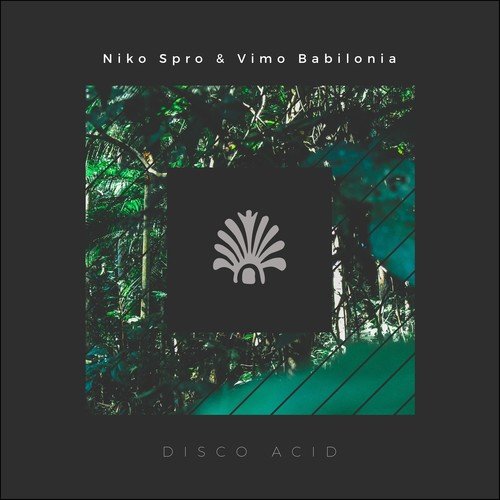 Vimu Babilonia, Niko Spro-Disco Acid