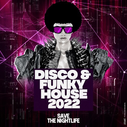 Various Artists-Disco & Funky House 2022