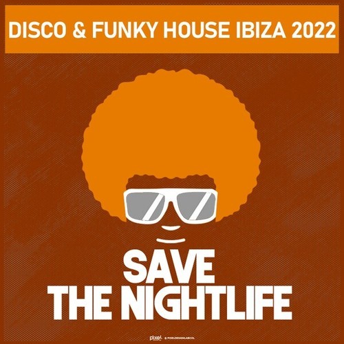 Various Artists-Disco & Funky House Ibiza 2022