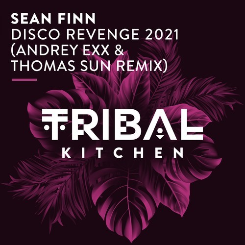 Sean Finn, Andrey Exx, Thomas Sun-Disco Revenge 2021 (Andrey Exx & Thomas Sun Remix)