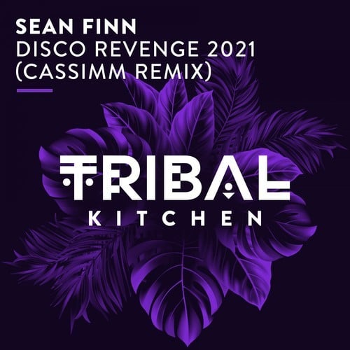 Sean Finn, Cassimm-Disco Revenge 2021 (CASSIMM Remix)
