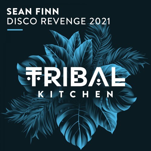Sean Finn-Disco Revenge 2021