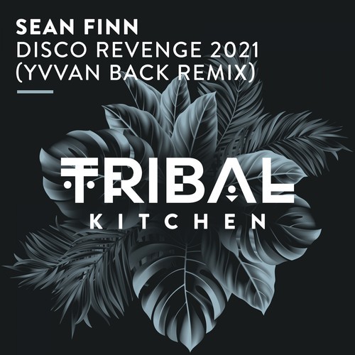 Sean Finn, Yvvan Back-Disco Revenge 2021 (Yvvan Back Remix)