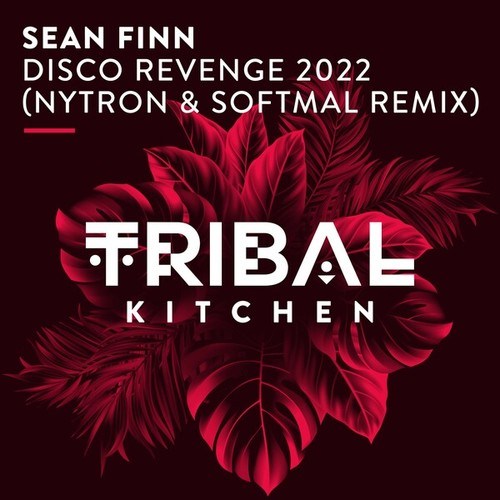 Sean Finn, Nytron, Softmal-Disco Revenge 2022 (Nytron & Softmal Extended Remix)